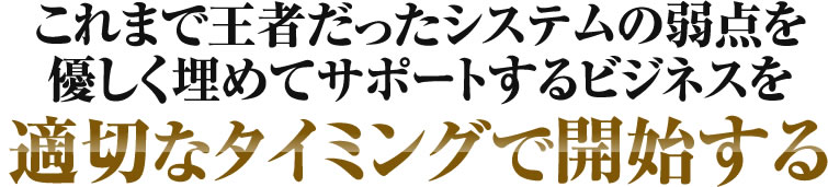 これまで王者だったシステムの弱点を優しく埋めてサポートするビジネスを適切なタイミングで開始する